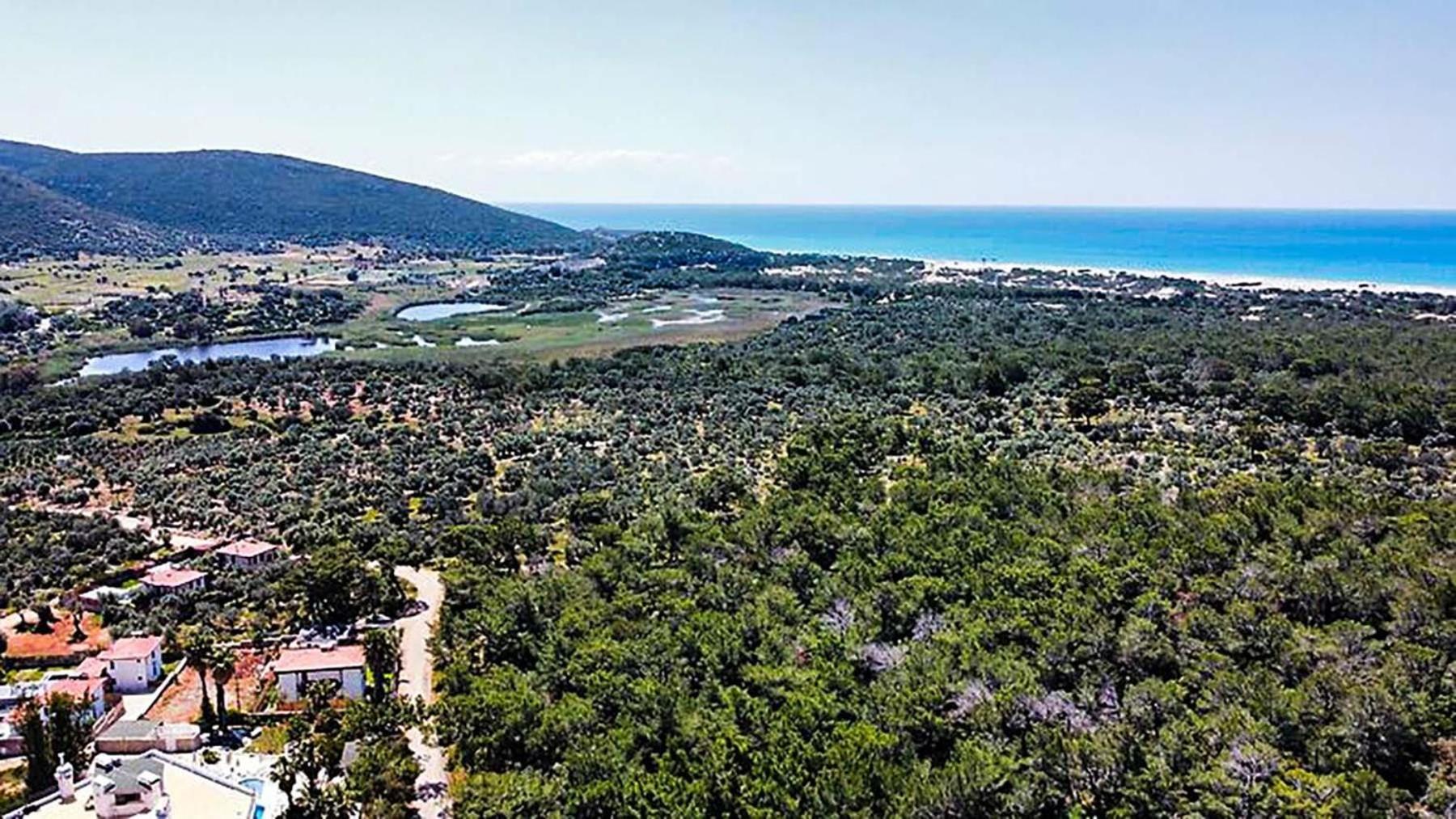 The Nix Hotel Patara Beach Εξωτερικό φωτογραφία